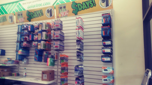 Dollar Store «Dollar Tree», reviews and photos, 4811 Edgmont Ave, Brookhaven, PA 19015, USA