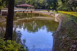 Kuvempu University, Pond image