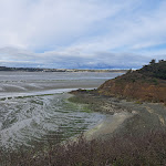 Photo n° 9 de l'avis de Yannick.o fait le 26/10/2023 à 06:37 pour Réserve Naturelle de la Baie de Saint-Brieuc à Hillion