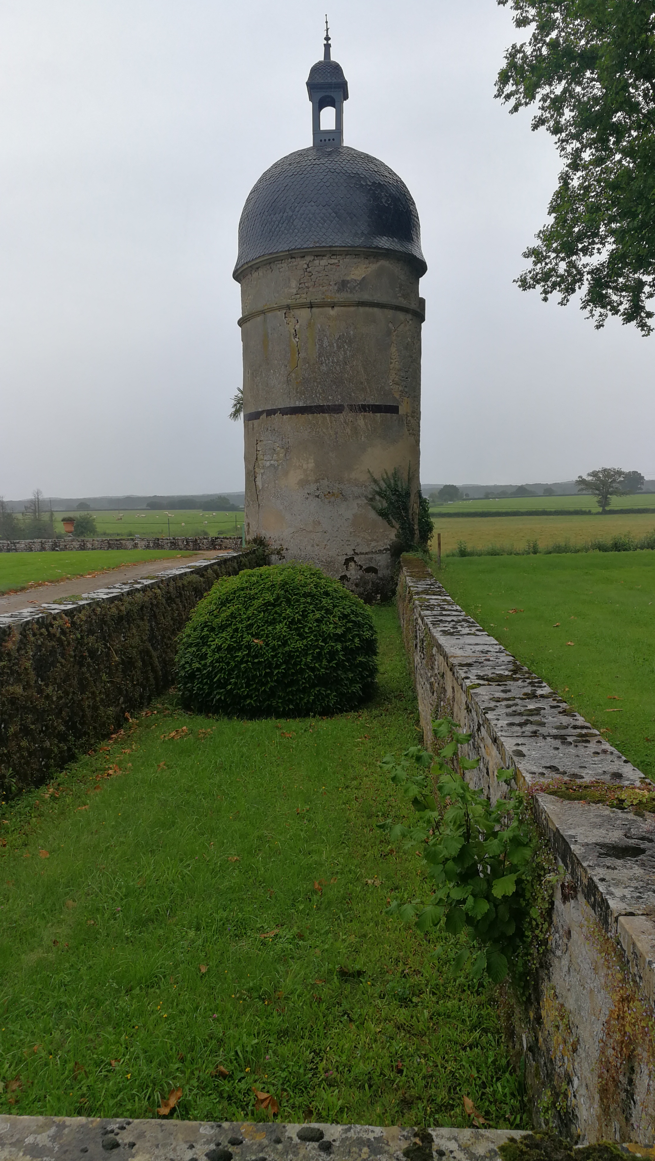 Photo n° 4 de l'avis de Will.I fait le 08/08/2021 à 20:58