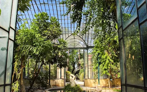 Orto Botanico di Palermo image