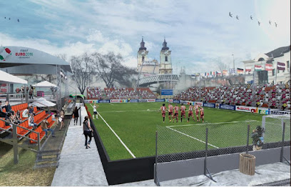 EMF EURO2016 Minifootball Stadium