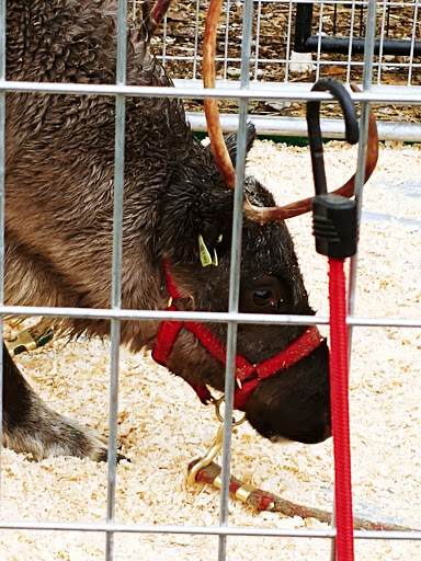 Produce Market «Welsh Heritage Farms», reviews and photos, 20758 528th Ave, Lake Crystal, MN 56055, USA