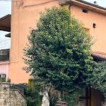 Photo n°5 de l'avis de Alessandro.u fait le 06/04/2024 à 18:18 sur le  Ristorante da elio à Piegaro