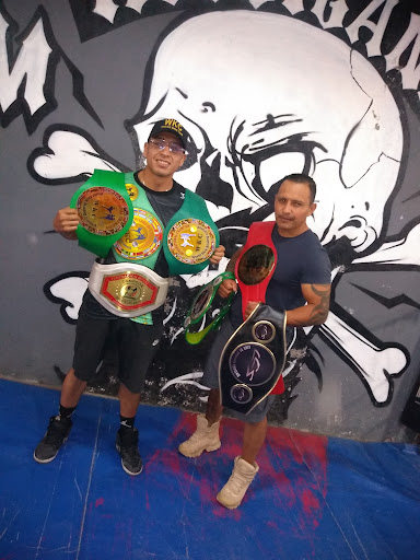 Warriors Boxing Combat Gym