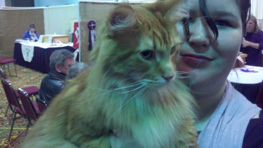 Ford Dealer «Northside Ford Truck Sales, Inc.», reviews and photos, 6221 NE Columbia Blvd, Portland, OR 97218, USA