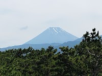 千本松原