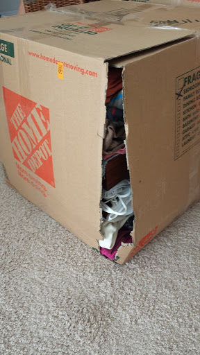 Moving Company «BayFlower Moving Group», reviews and photos, 1971 W Lumsden Rd #183, Brandon, FL 33511, USA