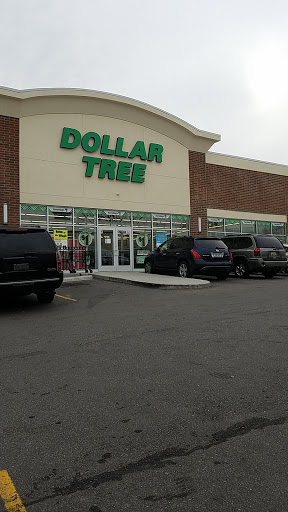Dollar Store «Dollar Tree», reviews and photos, 11236 S Saginaw St A, Grand Blanc, MI 48439, USA