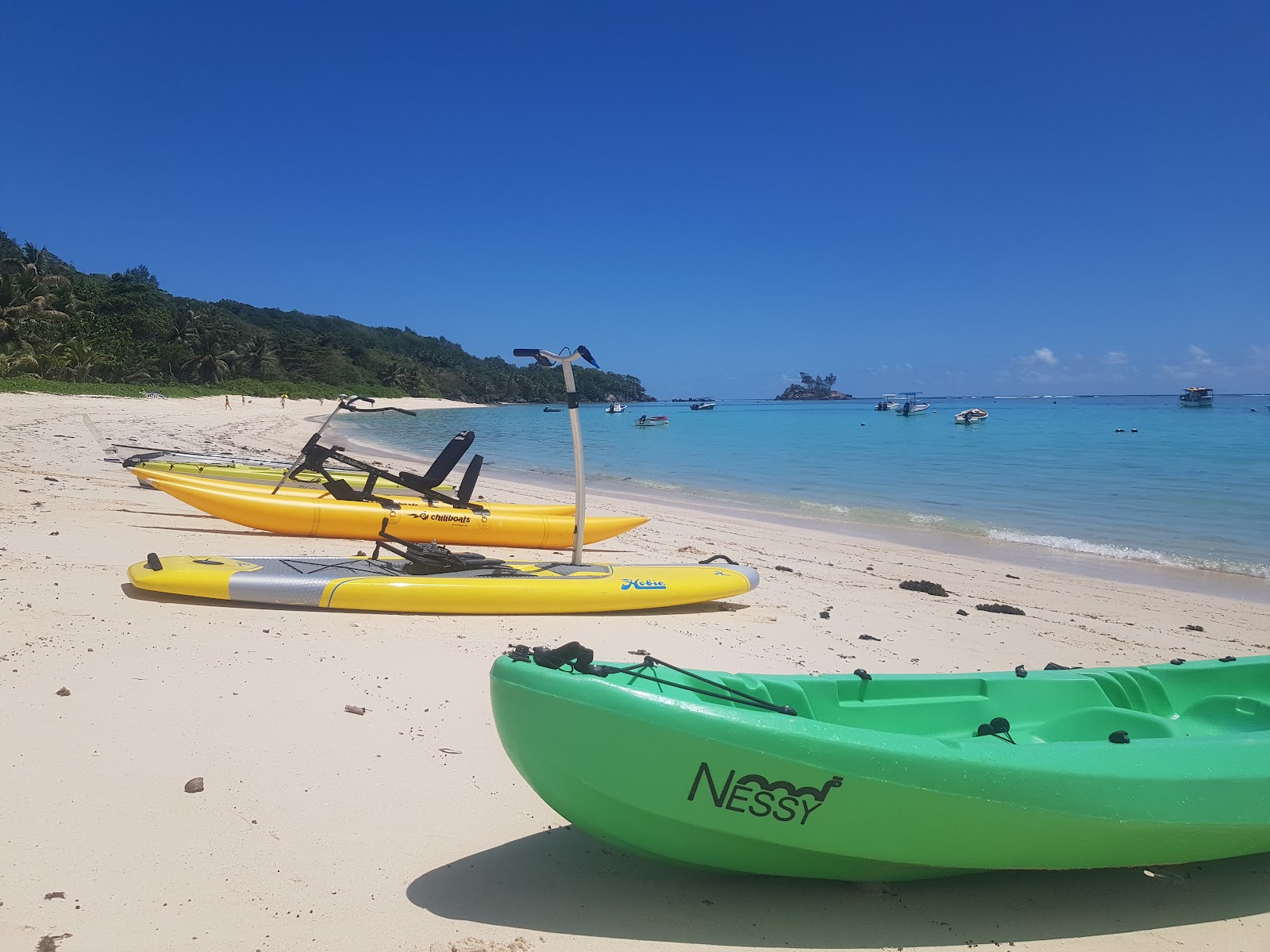 Fotografija Anse Royale Bay z visok stopnjo čistoče