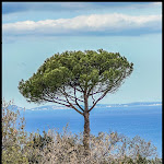 Photo n°2 de l'avis de Danny.a fait le 15/04/2023 à 12:42 sur le  Grand Hotel President à Sorrento