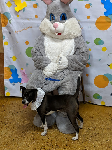 Pet Supply Store «PetSmart», reviews and photos, 1110 NY-112, Port Jefferson Station, NY 11776, USA