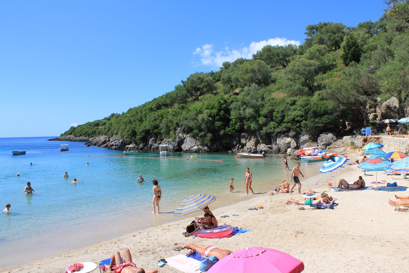 Photo of Zavia beach located in natural area