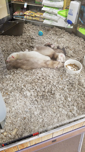 Pet Supply Store «Petco Animal Supplies», reviews and photos, 1210 Marvin Rd NE, Lacey, WA 98516, USA