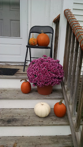 Greenhouse «Wentworth Greenhouses», reviews and photos, 141 Rollins Rd, Rollinsford, NH 03869, USA