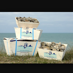 Photo n°48 de Les Huîtres du Père Gus - Bar à huîtres chez l'ostréiculteur à Blainville-sur-Mer ()