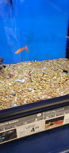 Pet Supply Store «Petco Animal Supplies», reviews and photos, 960 Del Monte Center, Monterey, CA 93940, USA