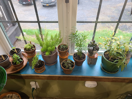 Garden Center «Victoria Gardens», reviews and photos, 1 Cottekill Rd, Rosendale, NY 12472, USA