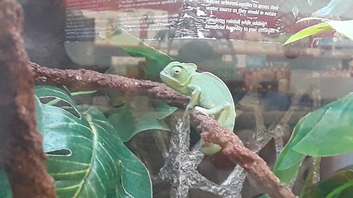 Pet Supply Store «Petco Animal Supplies», reviews and photos, 3320 Stockton Hill Rd, Kingman, AZ 86409, USA