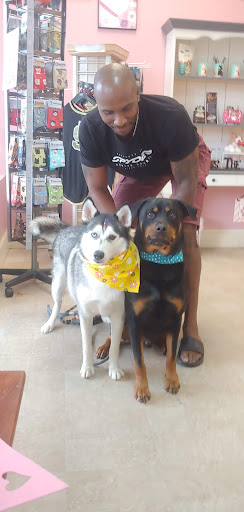 Pet Groomer «Furry Tails Pet Grooming», reviews and photos, 865 Cypress Pkwy, Poinciana, FL 34759, USA