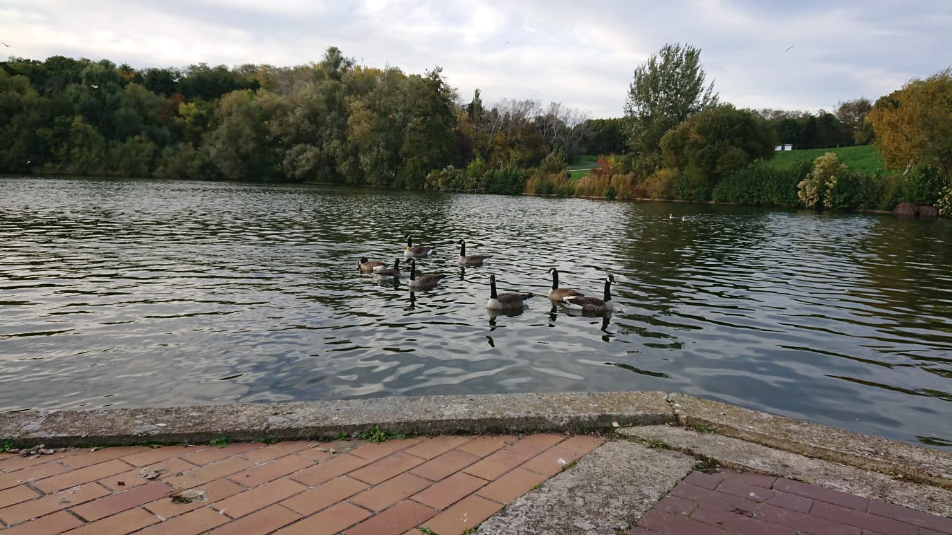 Photo n° 1 de l'avis de Elodie.o fait le 28/10/2019 à 07:53