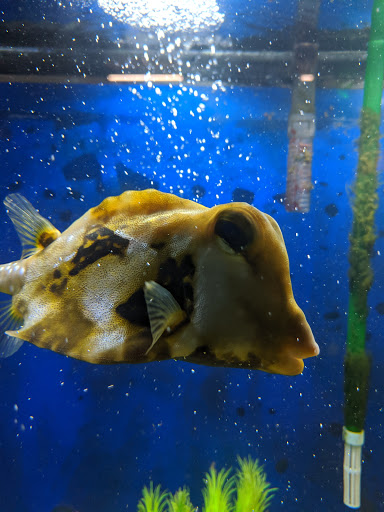 Aquarium «Biomes Marine Biology Center», reviews and photos, 6640 Post Rd, North Kingstown, RI 02852, USA