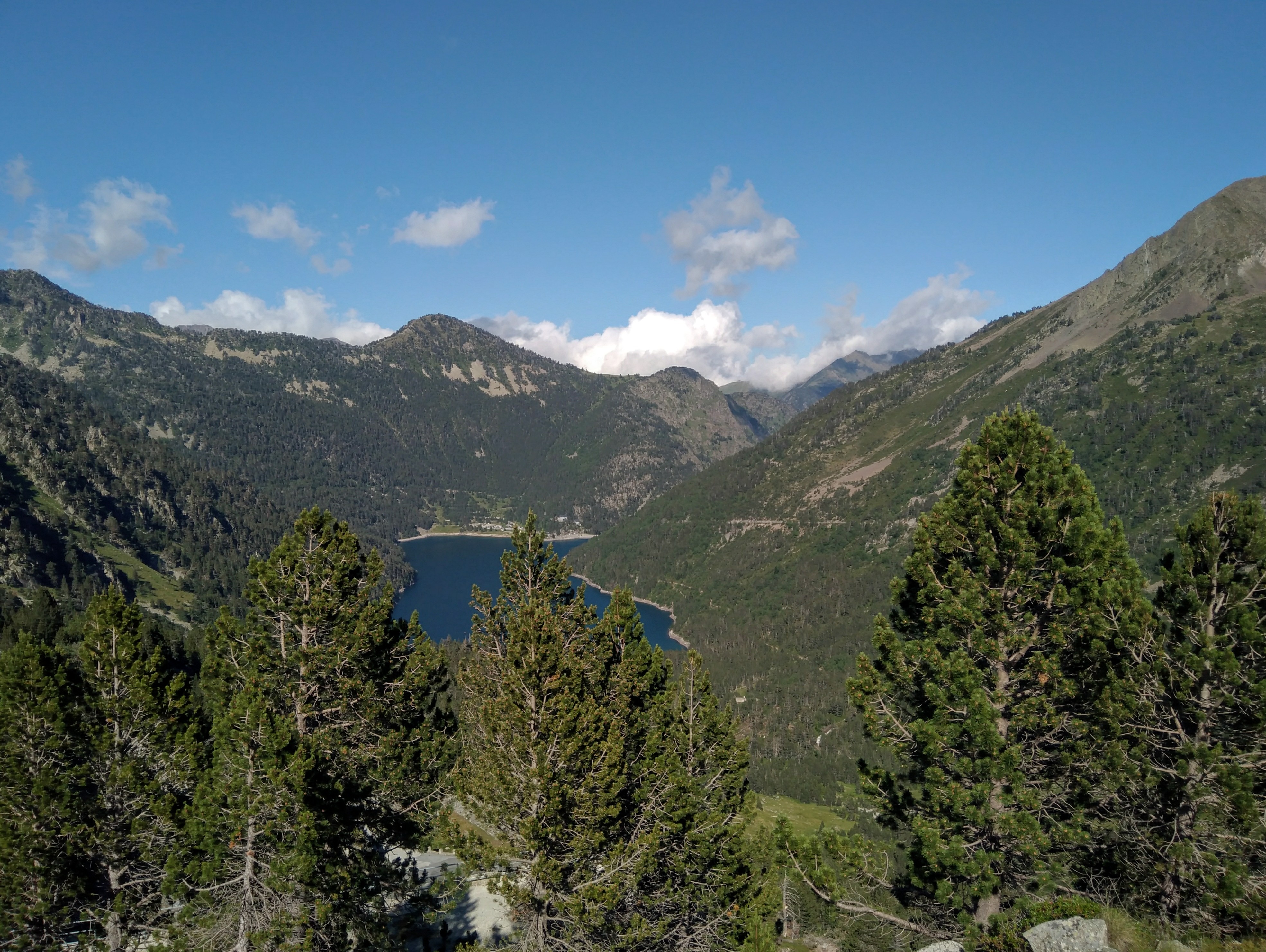 Photo n° 26 de l'avis de Gérard. fait le 20/07/2021 à 20:09