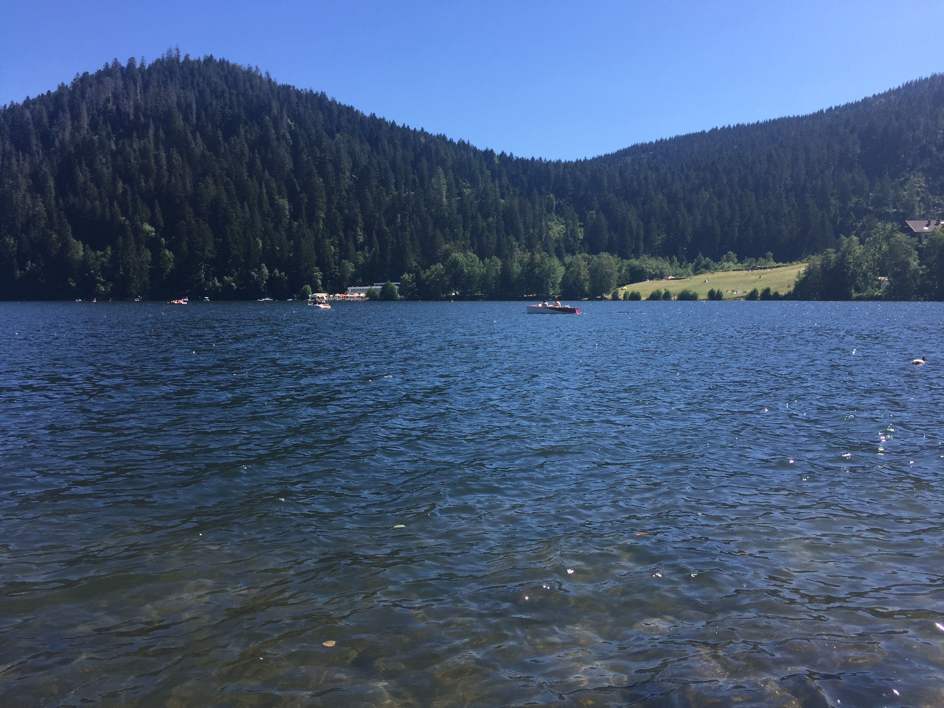 Photo n° 3 de l'avis de Véronique.e fait le 30/07/2020 à 20:22
