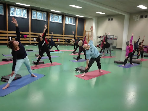 Centre de yoga Yoga Intégral de Sevran (Y.I.S.) Sevran