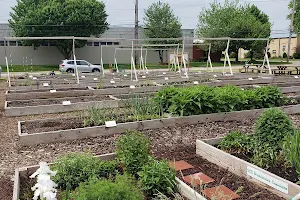 St Clair Shores Community Garden image