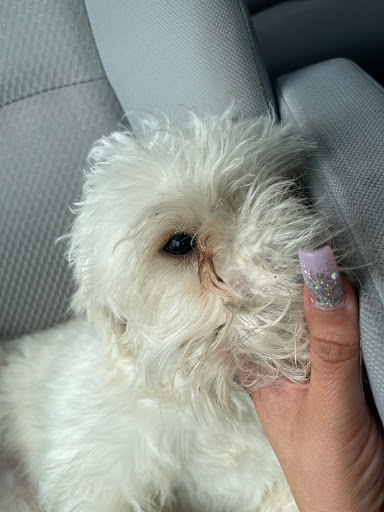 Pet Store «Everything Pet», reviews and photos, 3616 N Fry Rd, Katy, TX 77449, USA