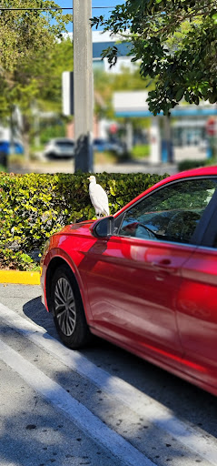 Supermarket «Publix Super Market», reviews and photos, 2270 SW 27th Ave, Miami, FL 33145, USA