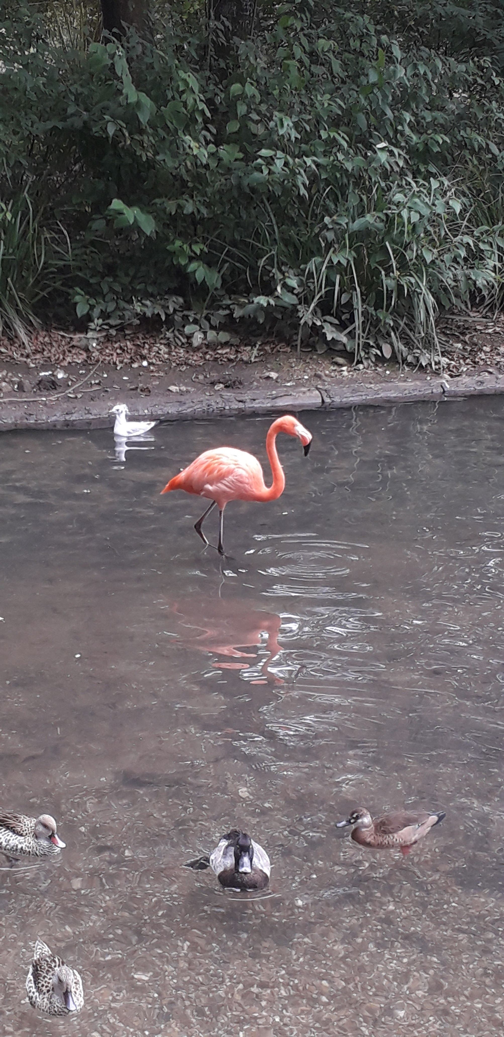 Photo n° 2 de l'avis de lilou.i fait le 19/09/2020 à 16:48