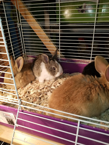 Animal Feed Store «Cerri Family Feed», reviews and photos, 2949 S Airport Way, Stockton, CA 95206, USA