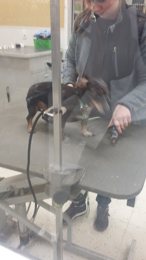 Pet Supply Store «Petco Animal Supplies», reviews and photos, 6020 Crawfordsville Rd, Speedway, IN 46224, USA