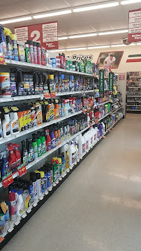 O'Reilly Auto Parts - Photo 5 - Car repair in El Paso, TX, El Paso