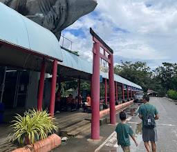 Chiang Mai Zoo Aquarium photo