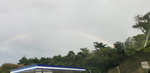 Supermarket «Big Y», reviews and photos, 1111 Providence Hwy, Walpole, MA 02081, USA