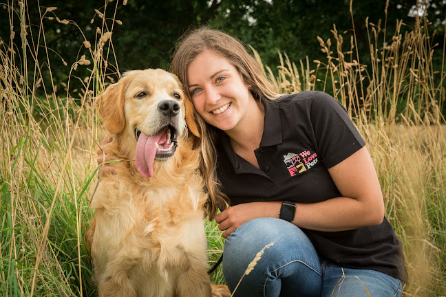We Love Pets Wakefield - Dog Walker, Pet Sitter & Home Boarder - Dog trainer