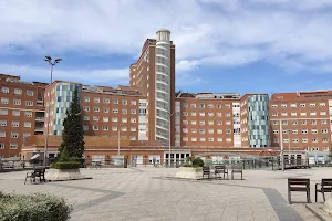 Cruces University Hospital image