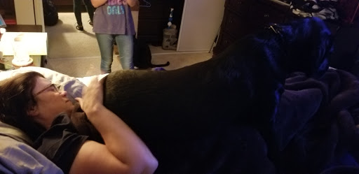 Pet Supply Store «Unleashed by Petco», reviews and photos, 4460 Tassajara Rd a, Dublin, CA 94568, USA