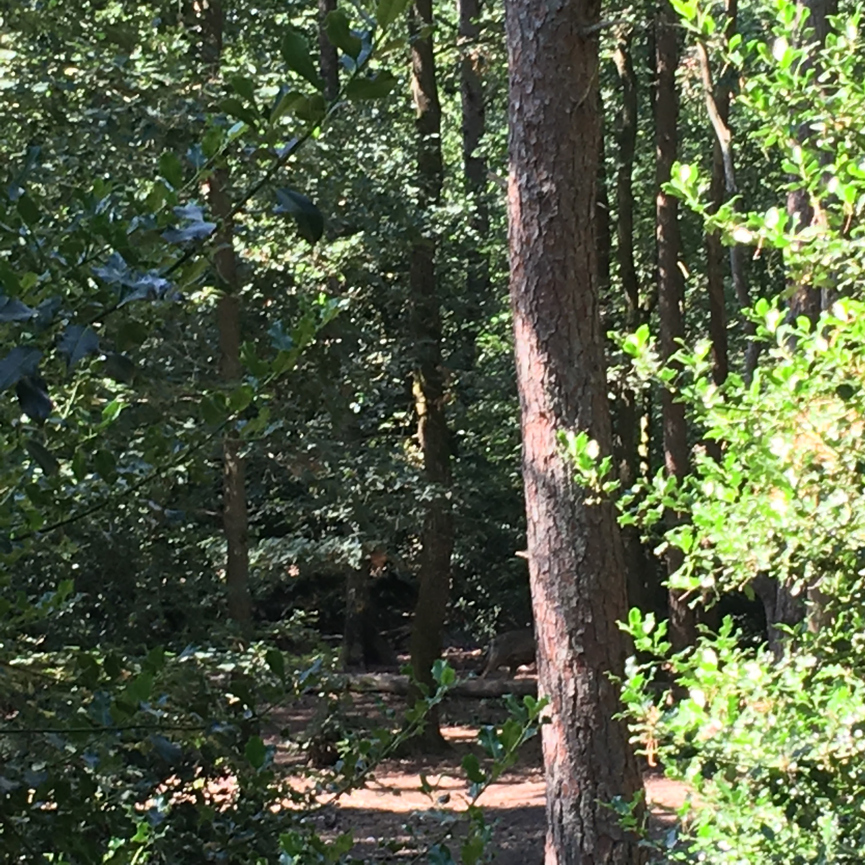 Photo n° 20 de l'avis de Kad.o fait le 12/07/2020 à 13:08