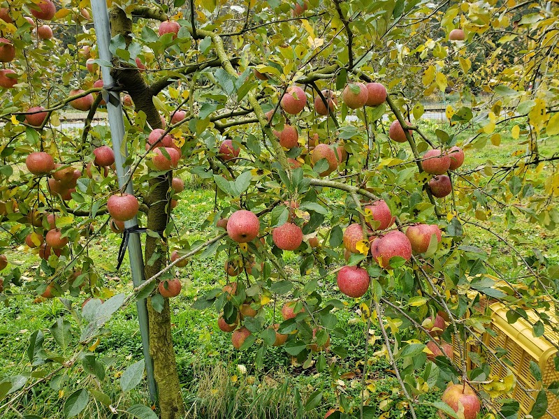 白根りんご農園