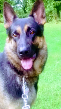 Massey Mercantile Co - Photo 6 - Car repair in Birmingham, AL, Birmingham