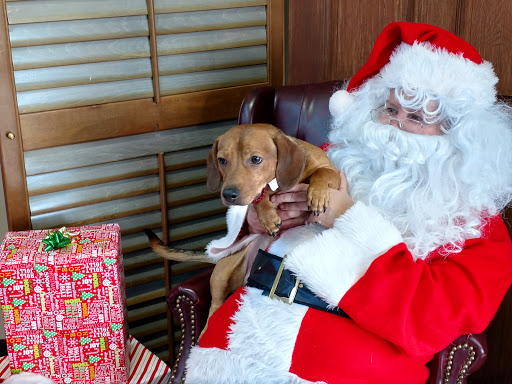 Pet Supply Store «Pet Supplies Plus», reviews and photos, 1012 W Hebron Pkwy #120, Carrollton, TX 75010, USA