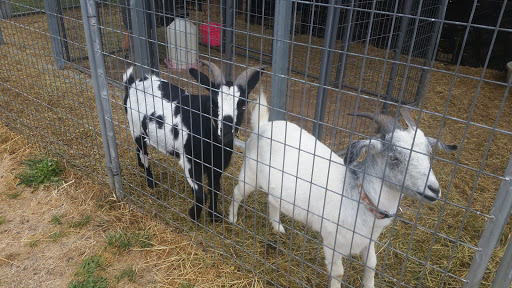 Animal Feed Store «Remnant Farms Feed & Supply», reviews and photos, 1501 Guild Rd, Woodland, WA 98674, USA