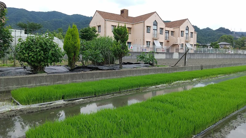 認定こども園 マリア高安保育園