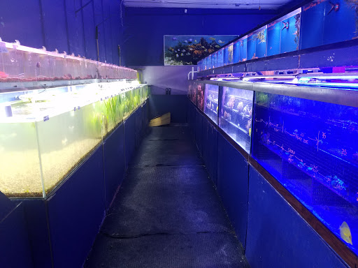 Tropical Fish Store «Tropi-Quatics Pet Center», reviews and photos, 337 S Main St, Lombard, IL 60148, USA