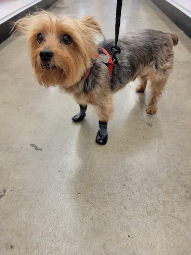 Pet Supply Store «Centinela Feed & Pet Supplies», reviews and photos, 4700 Pacific Coast Hwy, Long Beach, CA 90804, USA