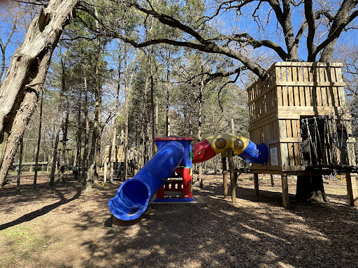 Trinity Forest Adventure Park